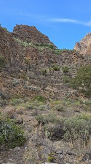 2024-11-GranCan-Guayadeque-047.jpg